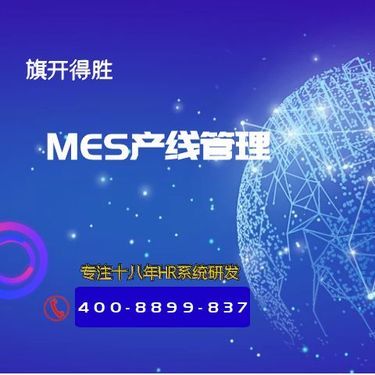 值得信賴(lài)的軟件開(kāi)發(fā)與經(jīng)營(yíng)公司 技術(shù)與商業(yè)的完美融合